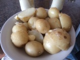 New potatoes 06